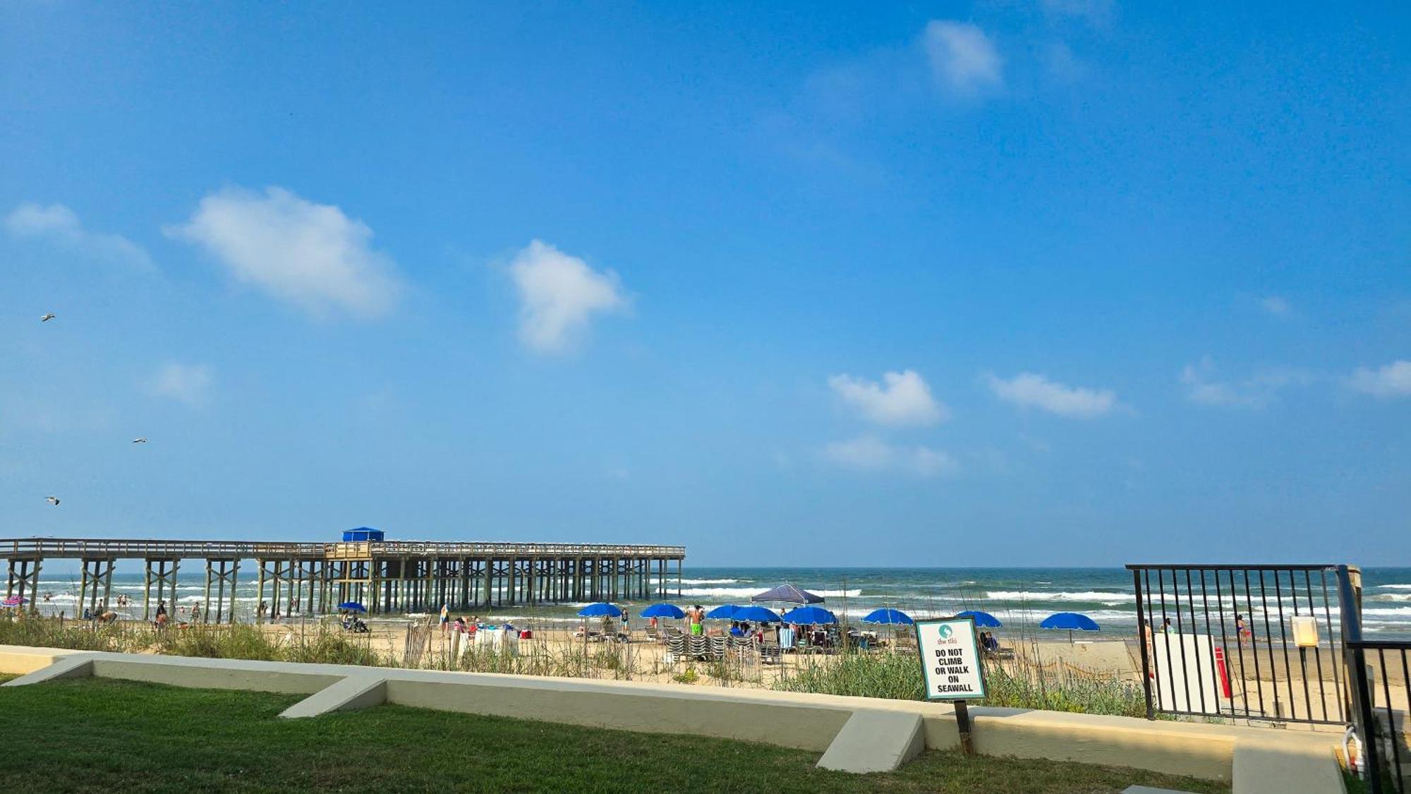 Herons Haven Coastal Elegance With Pool Access 223 South Padre Island Exteriör bild