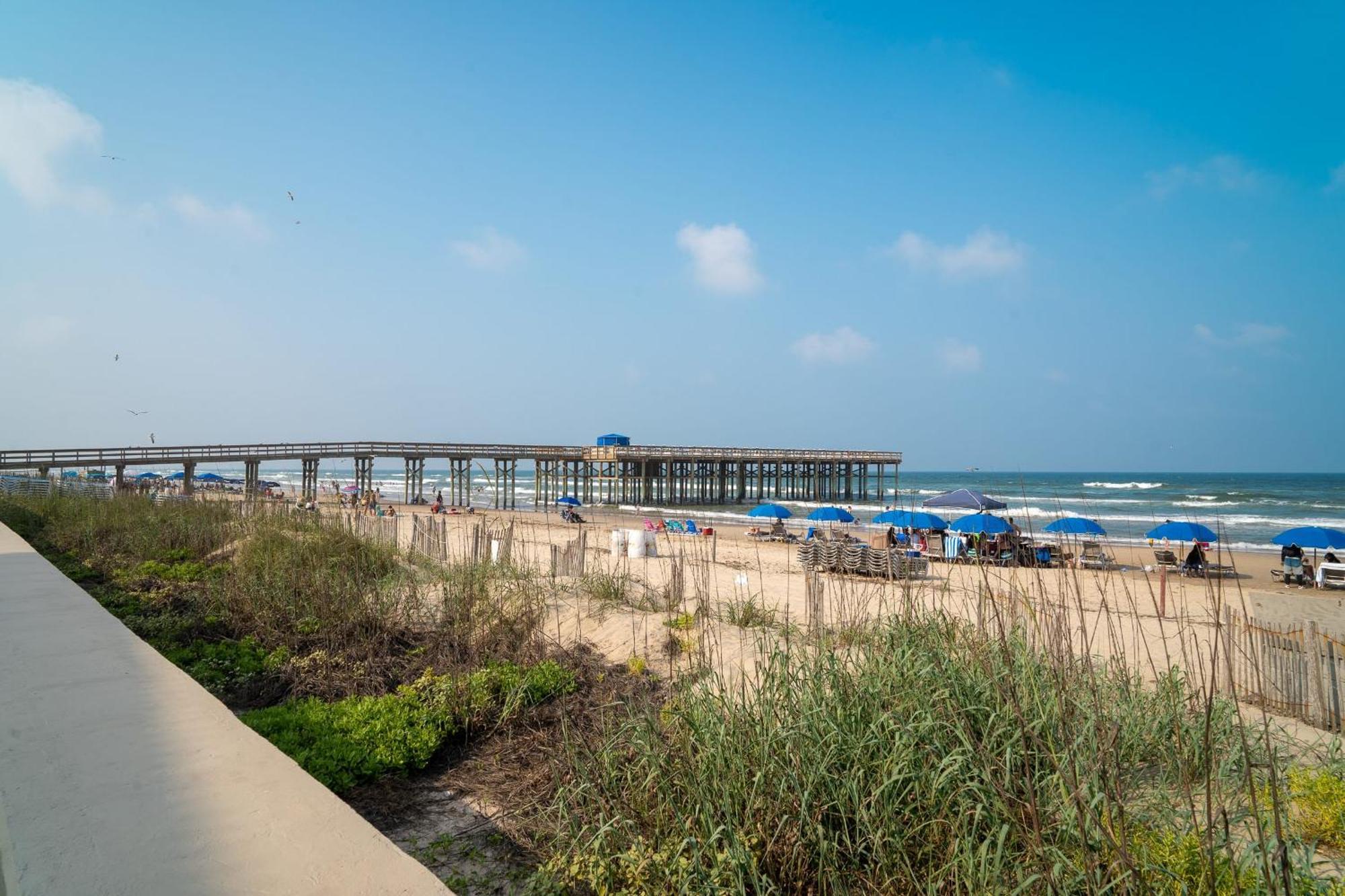 Herons Haven Coastal Elegance With Pool Access 223 South Padre Island Exteriör bild